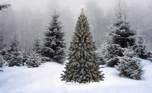 TQDesign Bộ sưu tập Wallpaper Noel 2012
