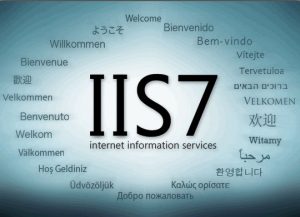 Hướng dẫn cấu hình IIS 7.5 chạy Website ASP.NET 4.0 trở lên