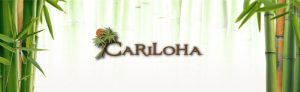 Thị trường riêng của thương hiệu và thành công của Cariloha